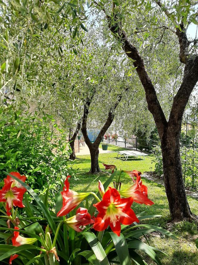 Apartment Maria Brenzone sul Garda Dış mekan fotoğraf