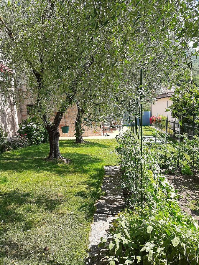 Apartment Maria Brenzone sul Garda Dış mekan fotoğraf